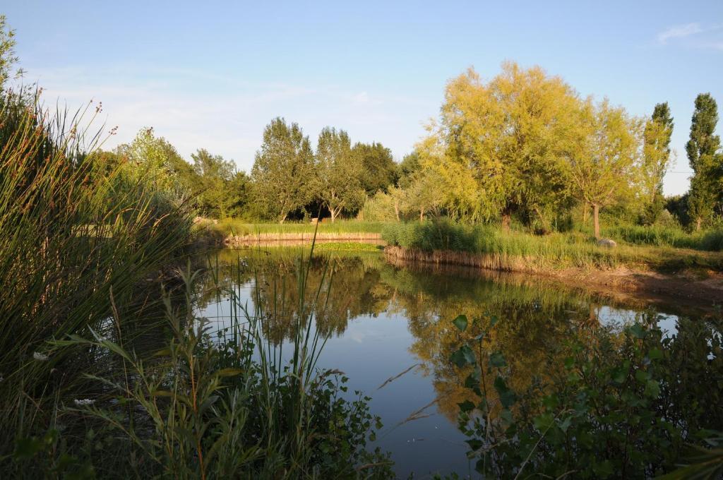 Domaine De La Begude Hotel Fayence Quarto foto